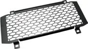 Zieger Kawasaki Z650, radiator guard