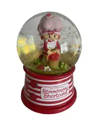 The Wonderful World Of Strawberry Shortcake Strawberry Shortcake Snow Globe