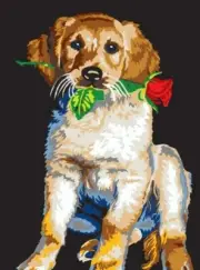 "Gift" Printed Needlepoint Tapestry Canvas 10404