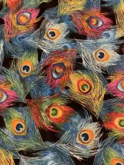 Peacock Feathers Cotton Fat Quarter 18”x22” New