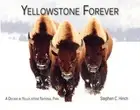 Yellowstone Forever: A Decade in Yellowstone National Park Hinch, Stephen C.