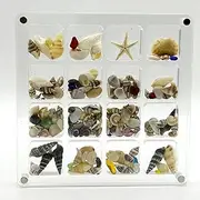 GIOREFAY Acrylic Magnetic Seashell Display Box,Clear Organizer Box Container Craft Storage for Beads,nails,jewelrys,Gemstones,Seashell