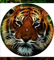 Slipmat Slip Mat Scratch Pad Felt for Any 12" LP DJ Vinyl Turntable Record Player Custom Graphical - Cat Tiger Lights