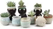 T4U Small Ceramic Succulent Pots with Drainage Set of 12, Mini Pots for Plants, Tiny Porcelain Planter, Air Plant Flower Pots Cactus Faux Plants Containers, Modern Decor for Home and Office