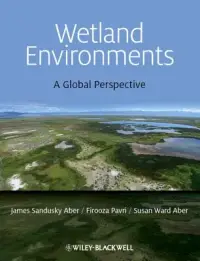 在飛比找博客來優惠-Wetland Environments: A Global