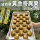 水果狼 紐西蘭Zespri 黃金奇異果 金圓頭25-27顆 / 原裝箱