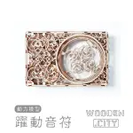 【機不可失蝦皮】WOODEN CITY 動力模型/躍動音符 模型 積木 手動組裝 齒輪驅動 擺設 療癒小物