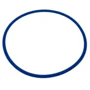 Blue Square Abyss Canister O-Ring Replacement Pool Part