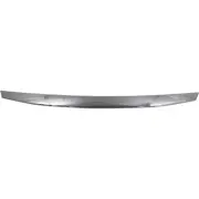 CAPA Grille Trim Grill Chrome Coupe for Honda Accord HO1210135C 71122TE0A11 (for: Honda)
