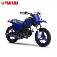 在飛比找Yahoo奇摩購物中心優惠-YAMAHA PW50 小型越野摩托車