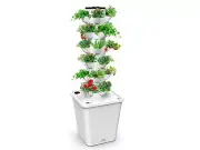 Sjzx Hydroponics Growing System,Indoor Smart Garden,Nursery Germination Kit I...