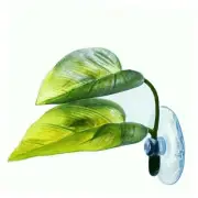 Betta Fish Leaf Pad Simulating The Natural Habitat for Betta Spawning Grounds 1