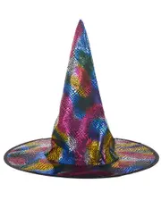 Metallic Rainbow Snake Skin Print Witch Hat Accessory