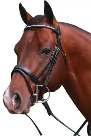 Krystal Bridle Hanoverian Nose Band Black or Brown Pony/Cob/Full [Cob/Black]