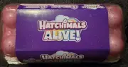 Hatchimals Alive! Rainbow Splash Egg Carton 5 Eggs 10 Accessories New & Sealed