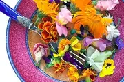 Edible Flower Pack 12 Packets 850 Seeds for Home Gardening Planting Seeds