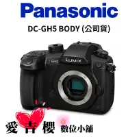 在飛比找蝦皮商城優惠-【Panasonic】LUMIX DC-GH5 BODY 錄