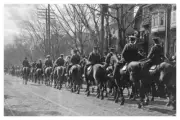 WW I World War Canadian Cavalry Troops Parade Horses 8x12 Silver Halide Photo