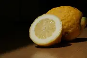 Buy Dwarf Lemon Lisbon Fruit Trees (Citrus limon)