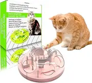 Interactive Cat Toy Puzzle Box - Cat Puzzle Feeder - Cat Slow Feeding Treatment Dispenser - Cat Puzzle Box - Puzzle Maze Toy - Indoor Rich Cat Toys（Pink）