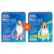 NexGard Spectra Chews For Medium & Large Dogs Bundle Bundle