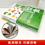 ☘七味☘【台灣發貨】減糖飲食輕斷食書籍正版一日三餐瘦身低熱量料理食譜菜譜減脂減肥