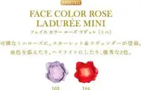 在飛比找蝦皮購物優惠-全新正品  LADUREE MINI 花瓣腮紅 兩色