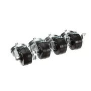 TRAULSEN CK24 Kit Four 3.50 In Stem C Asters