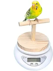 Bird Scale - Bird Scale with Perch | Small Animal Scale with Perch | Parrot Training Bird Small Animal Scale with Perch | Convenient Weight Changing Monitoring Tool for Medication, Milk Powder
