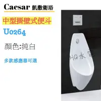 在飛比找蝦皮購物優惠-🔸HG水電🔸 Caesar 凱撒衛浴 中型掛壁式便斗 U02