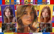 Susan Dey Fan Made Poster print 11 X 17 Laurie Partridge