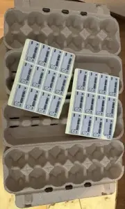 48 New LOVEINUSA Cardboard Egg Storage Cartons with Sticker Egg Labels