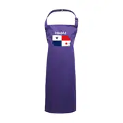Panama -Country Flag Nationality Kids Childrens Kitchen Apron