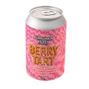 Currumbin Valley Berry Tart Sour 375ml Can