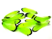 LADY AMHERST - PHEASANT TAIL FEATHERS - 1-2" - CHARTREUSE - Fly Tying Materials
