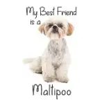 MY BEST FRIEND IS A MALTIPOO: 8