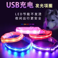 在飛比找露天拍賣優惠-網紅狗狗項圈 led發光夜間寵物USB充電夜光小型犬犬型可調