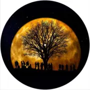 Slipmat Scratch Pad Felt for 12" Turntable LP DJ Record Player MOON GATHERING