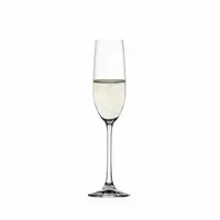 在飛比找momo購物網優惠-【Spiegelau】12入香檳杯｜Salute系列