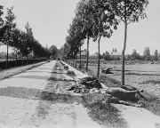 Aftermath of cavalry Battle of Haelen Belgium 1914 WW1 8x10 World War I Photo