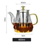 Elegant Glass Teapot with Gold Handle and Stainless Steel Infuser 600ml