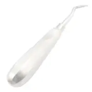 Extracting Elevators #41PG Dental Surgical Instruments