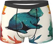 [QMNEHJ] Rainbow Rabbit Men's Boxer Briefs Breathable Stretch Underwear Moisture-Wicking Trunks for Men