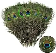 12pcs Peacock Feather Natural in Bulk 10-12 inch 25-30cm for Craft Vase Wedding Home Party Christmas Day Decoration Peacock Feathers