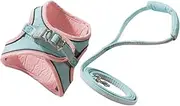 Toddmomy 1 Set Kitten Harness and Leash Comfortable for Outdoor Walking Escape Design Lightweight for