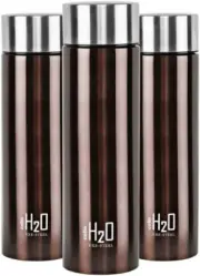 Stainless Steel Water Bottle Set of 3 - 1 Litre each Brown