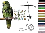 Adjustable Medium Elastic Parrot Box 10mm Neck Always Black with Coloured Ribbons 2 Metal Hooks 3mm Lead 1m (Black Collar, Black Ribbon)