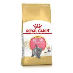 【ROYAL 皇家】英國短毛幼貓專用乾糧BSK38（10kg）（預購商品）