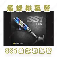 在飛比找蝦皮購物優惠-【榮銓】黃蜂 SS1 全鈦排氣管 鈦管 訂製 直通管 直通靜