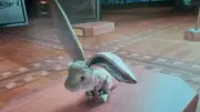 Ark Survival Ascended PVE Bunny Chibi Unleveled